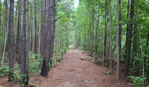 Photo #5 of TBD Oglethorpe Dr., Andrews, SC 4.7 acres