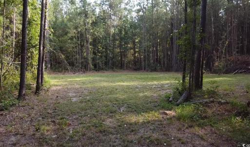 Photo #12 of TBD Oglethorpe Dr., Andrews, SC 4.7 acres