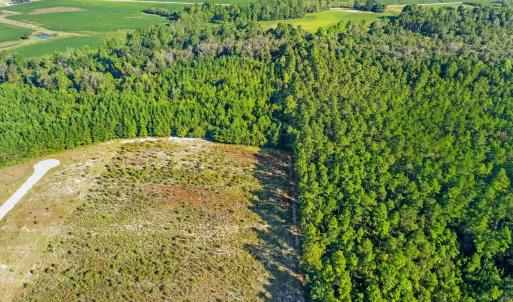 View of property location featuring a heavily wood