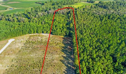 Photo #1 of LOT 1 Tansy Rd., Loris, SC 5.3 acres