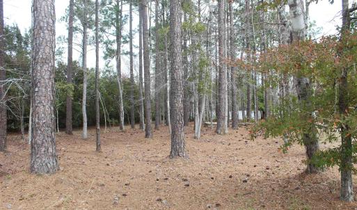 View of undeveloped land