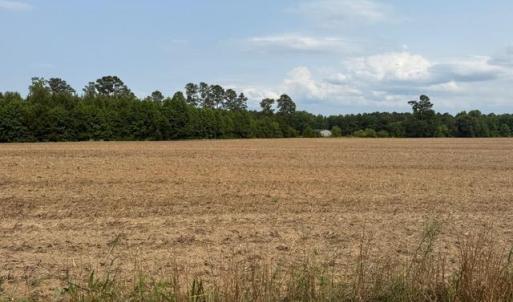 Photo #1 of 1776 Mack Rd., Conway, SC 2.0 acres