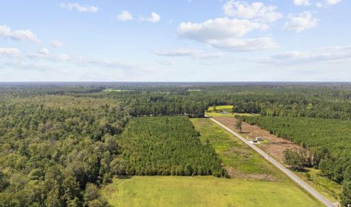 Photo #3 of Lot 3 Black Creek Rd., Nichols, SC 3.4 acres