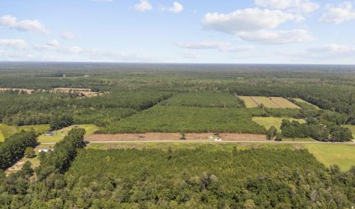 Photo #5 of Lot 3 Black Creek Rd., Nichols, SC 3.4 acres