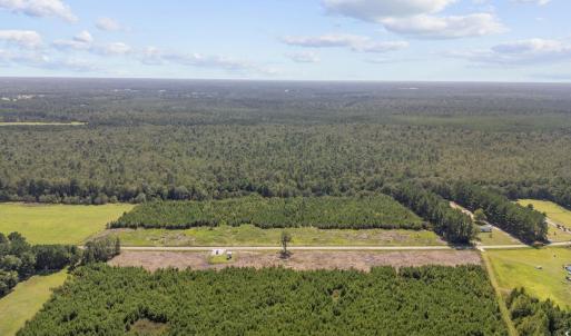 Photo #11 of Lot 3 Black Creek Rd., Nichols, SC 3.4 acres