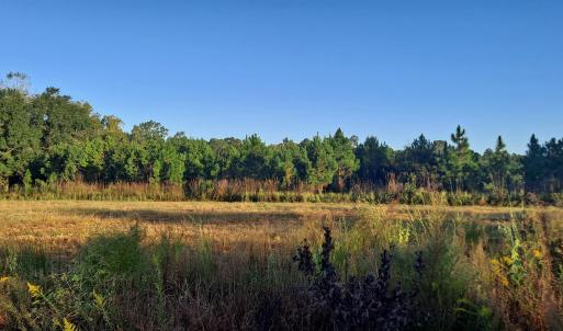 Photo #1 of TBD Wee Tee Rd., Andrews, SC 6.0 acres