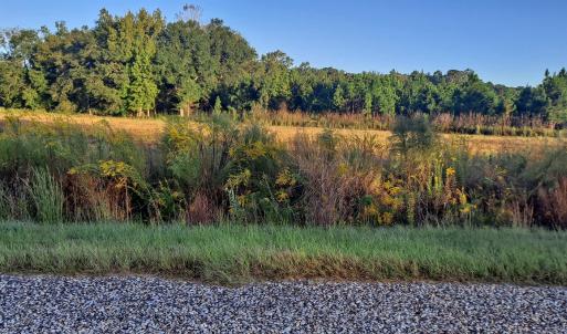Photo #3 of TBD Wee Tee Rd., Andrews, SC 6.0 acres