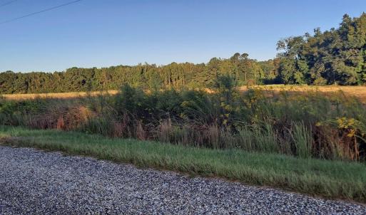 Photo #4 of TBD Wee Tee Rd., Andrews, SC 6.0 acres