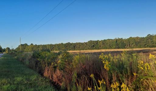 Photo #2 of TBD Wee Tee Rd., Andrews, SC 6.0 acres