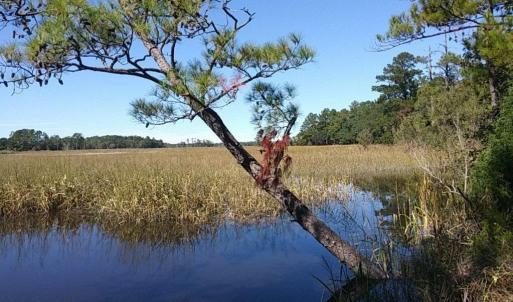 Photo #11 of Slip 36 Friendfield Marina, Georgetown, SC 0.0 acres