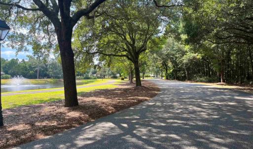 Photo #20 of 334 Brickwell Ln., Pawleys Island, SC 4.0 acres