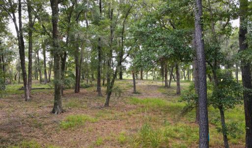 Photo #4 of 334 Brickwell Ln., Pawleys Island, SC 4.0 acres