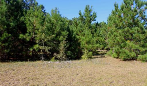 View of undeveloped land