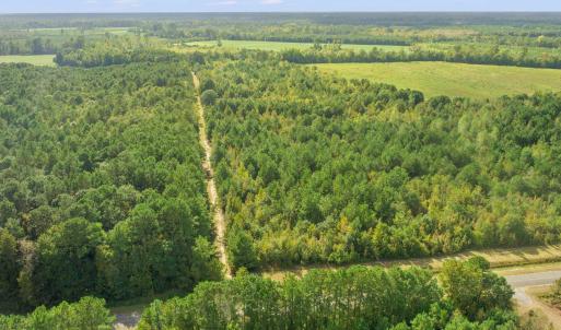 Bird's eye view of a heavily wooded area