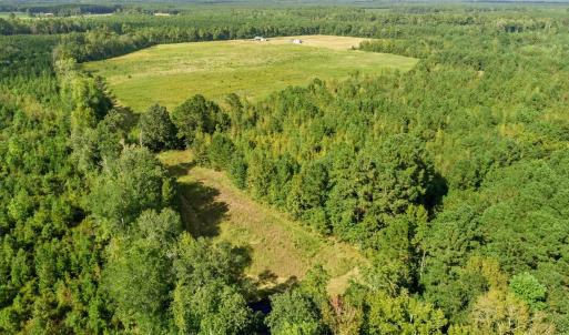 View of property location with a forest