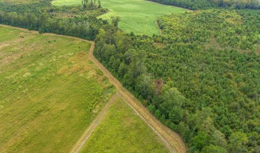 View of rural area with a forest