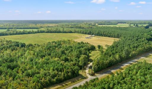 Bird's eye view of a forest