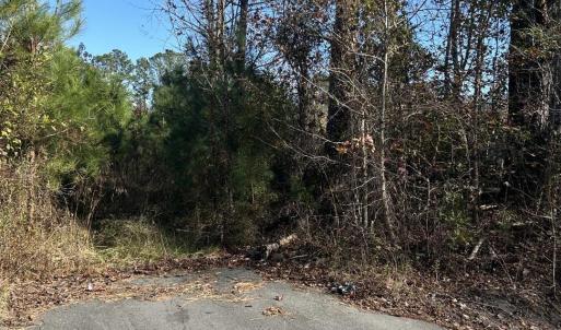 Photo #4 of TBD Apple Valley Rd., Loris, SC 8.6 acres