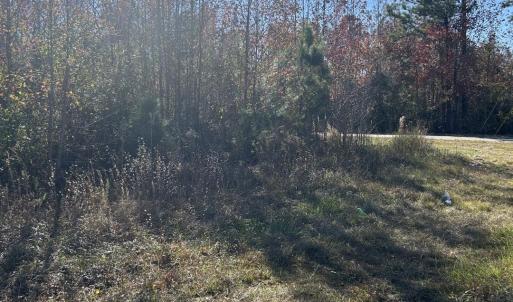 Photo #1 of TBD Apple Valley Rd., Loris, SC 8.6 acres