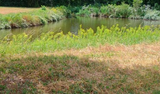 Photo #4 of TBD Cravens St., Georgetown, SC 0.1 acres