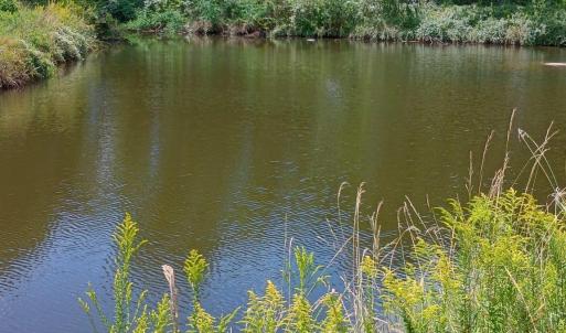 Photo #3 of TBD Cravens St., Georgetown, SC 0.1 acres