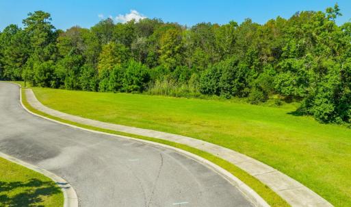 Photo #29 of Lot 54 Grassland Ln., Georgetown, SC 0.3 acres