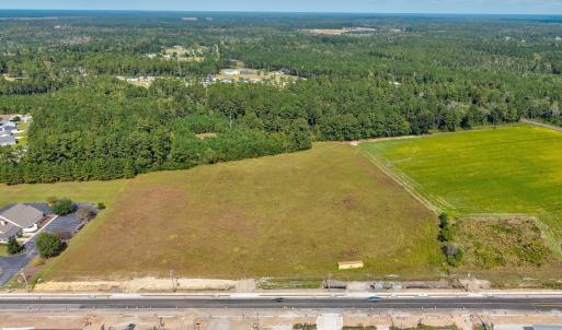 Aerial view of a forest