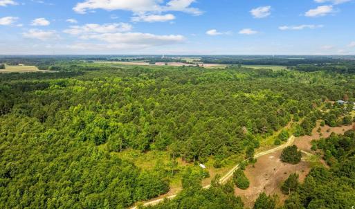 Photo #10 of TBD Lee Ln., Bennettsville, SC 43.9 acres