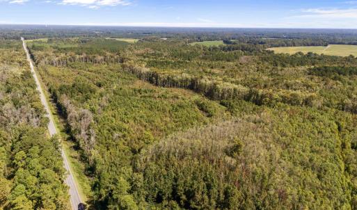 Bird's eye view of a heavily wooded area