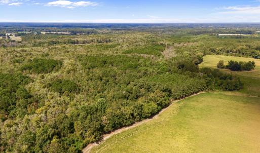 Bird's eye view of a heavily wooded area