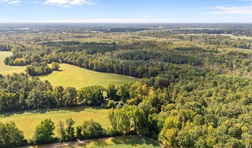 Aerial view of a heavily wooded area