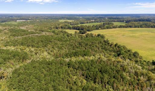 Drone / aerial view of a forest