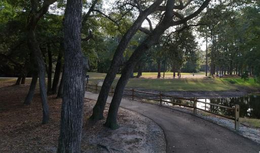 View of community featuring view of scattered tree