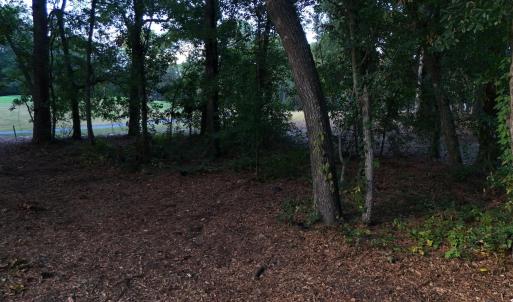 View of undeveloped land