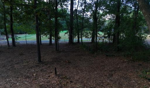 View of undeveloped land