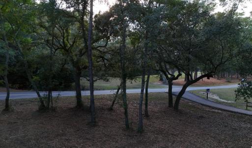 View of home's community with a yard
