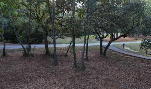 View of property's community with a yard