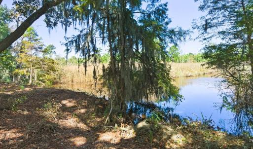 Photo #11 of Lot 5 Whitehall Ave., Georgetown, SC 18.7 acres
