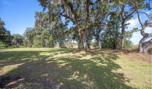 Photo #7 of Lot 5 Whitehall Ave., Georgetown, SC 18.7 acres