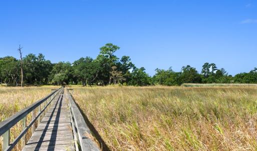 Photo #1 of Lot 5 Whitehall Ave., Georgetown, SC 18.7 acres