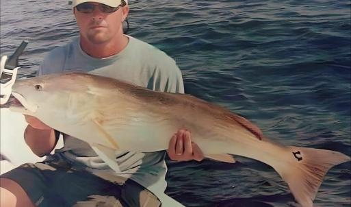 Photo #12 of TBD Oak St., Georgetown, SC 1.5 acres