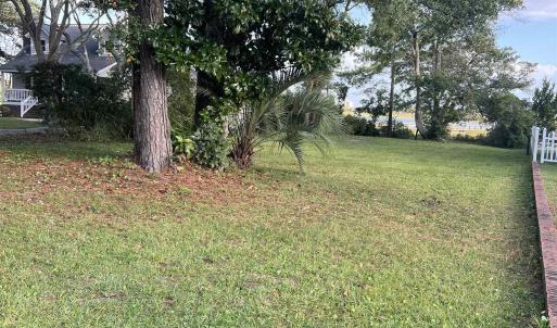 View of green lawn