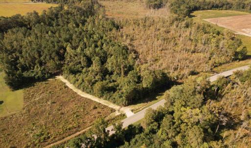 Photo #8 of 14.81 Acres - Deerfield Rd., Johnsonville, SC 14.8 acres