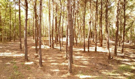 Photo #3 of 14.81 Acres - Deerfield Rd., Johnsonville, SC 14.8 acres