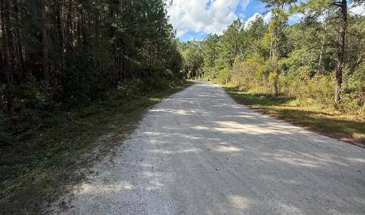 Road after entrance gate.