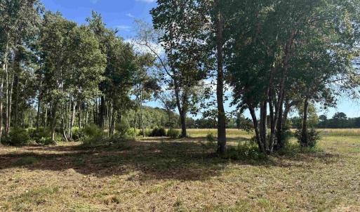View of undeveloped land