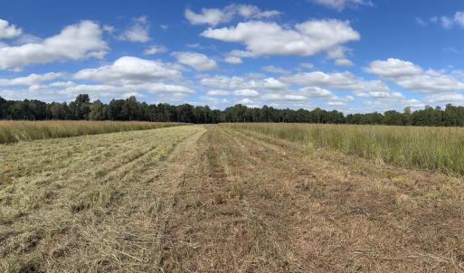 View of wooded area featuring a rural view