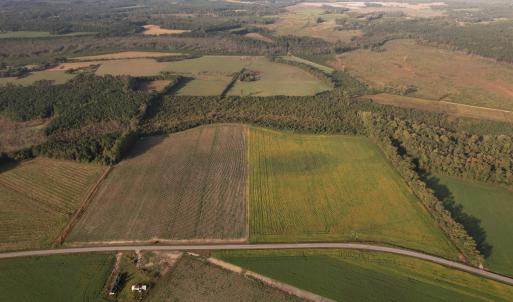 Photo #5 of 66.5 Acres-TBD Baxley Rd., Hemingway, SC 66.5 acres