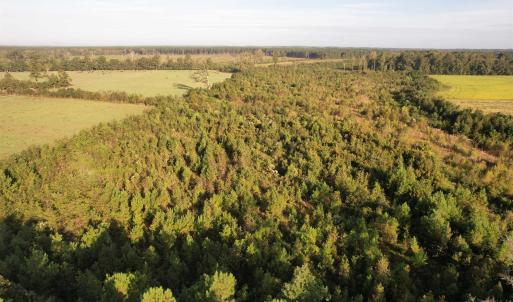 Photo #4 of 66.5 Acres-TBD Baxley Rd., Hemingway, SC 66.5 acres