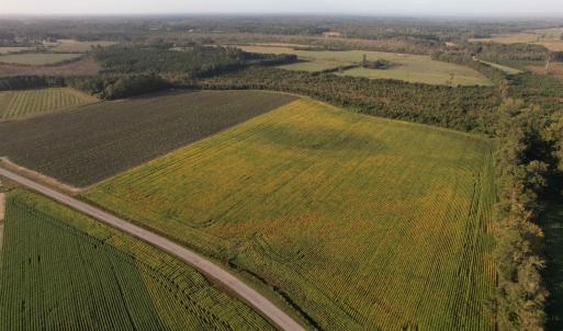 Photo #3 of 66.5 Acres-TBD Baxley Rd., Hemingway, SC 66.5 acres